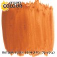 画像2: [シタデルカラー：BASE] RATSKIN FLESH ラットスキン・フレッシュ (2)