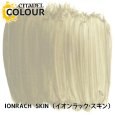 画像2: [シタデルカラー：BASE] IONRACH SKIN イオンラック・スキン (2)