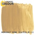 画像2: [シタデルカラー：BASE] MORGHAST BONE モルガスト・ボーン (2)